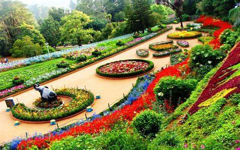 Ooty Honeymoon Package